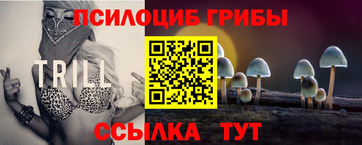 Галлюциногенные грибы Psilocybine cubensis  купить наркотик  Похвистнево  Вход с VPN 